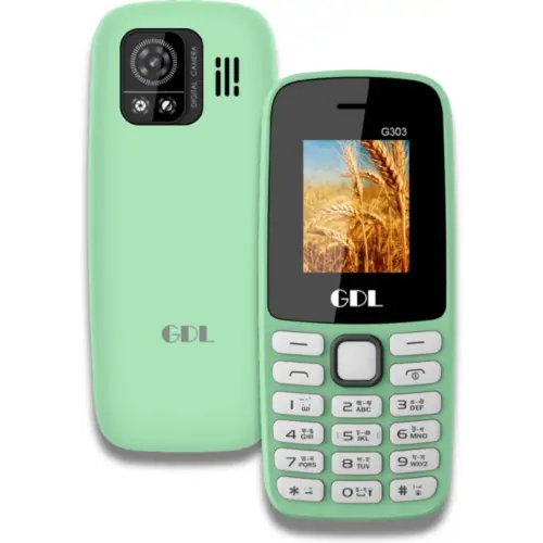 G303