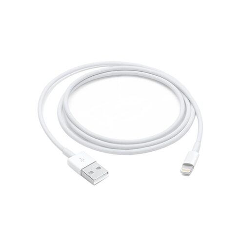 Apple Lightning to USB Cable