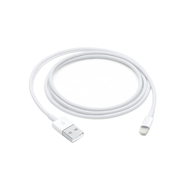 Apple Lightning to USB Cable