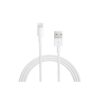 Apple Lightning to USB Cable