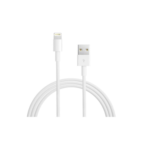 Apple Lightning to USB Cable