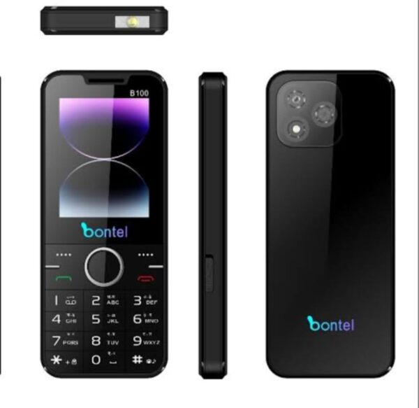 B100