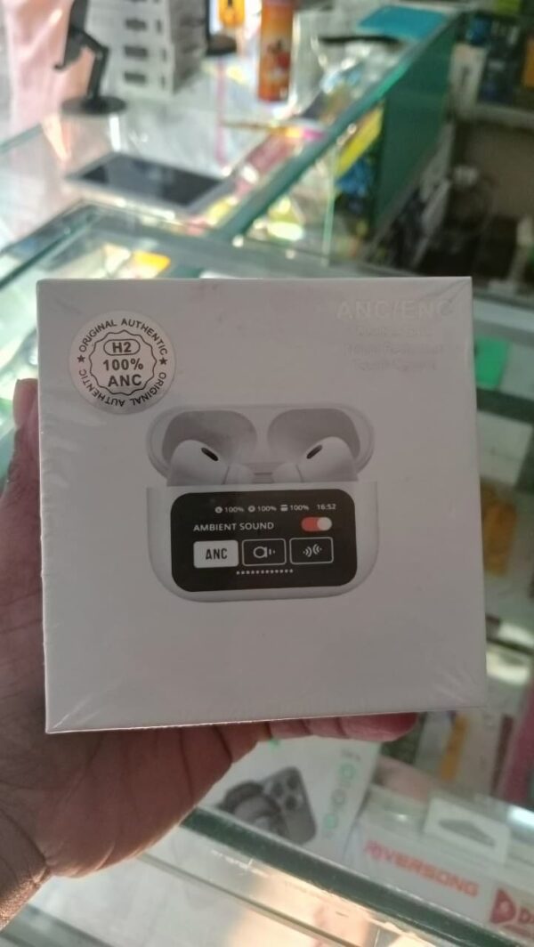 H2 ANC Earbuds