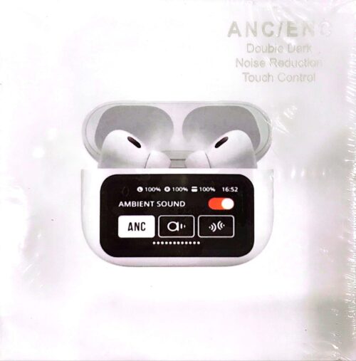 H2 ANC Earbuds